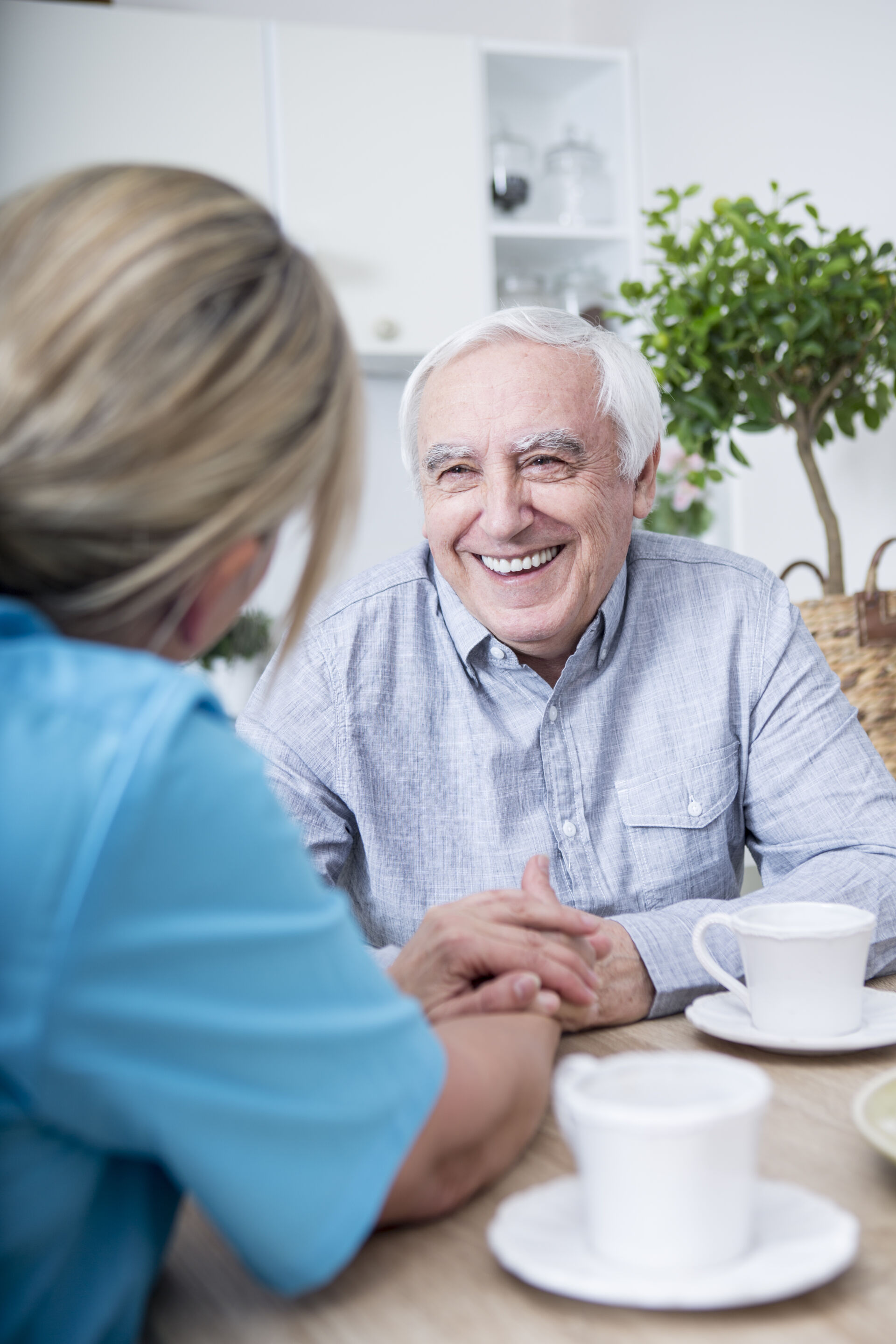 Contact us at Old Hastings House residential & Dementia Care care home